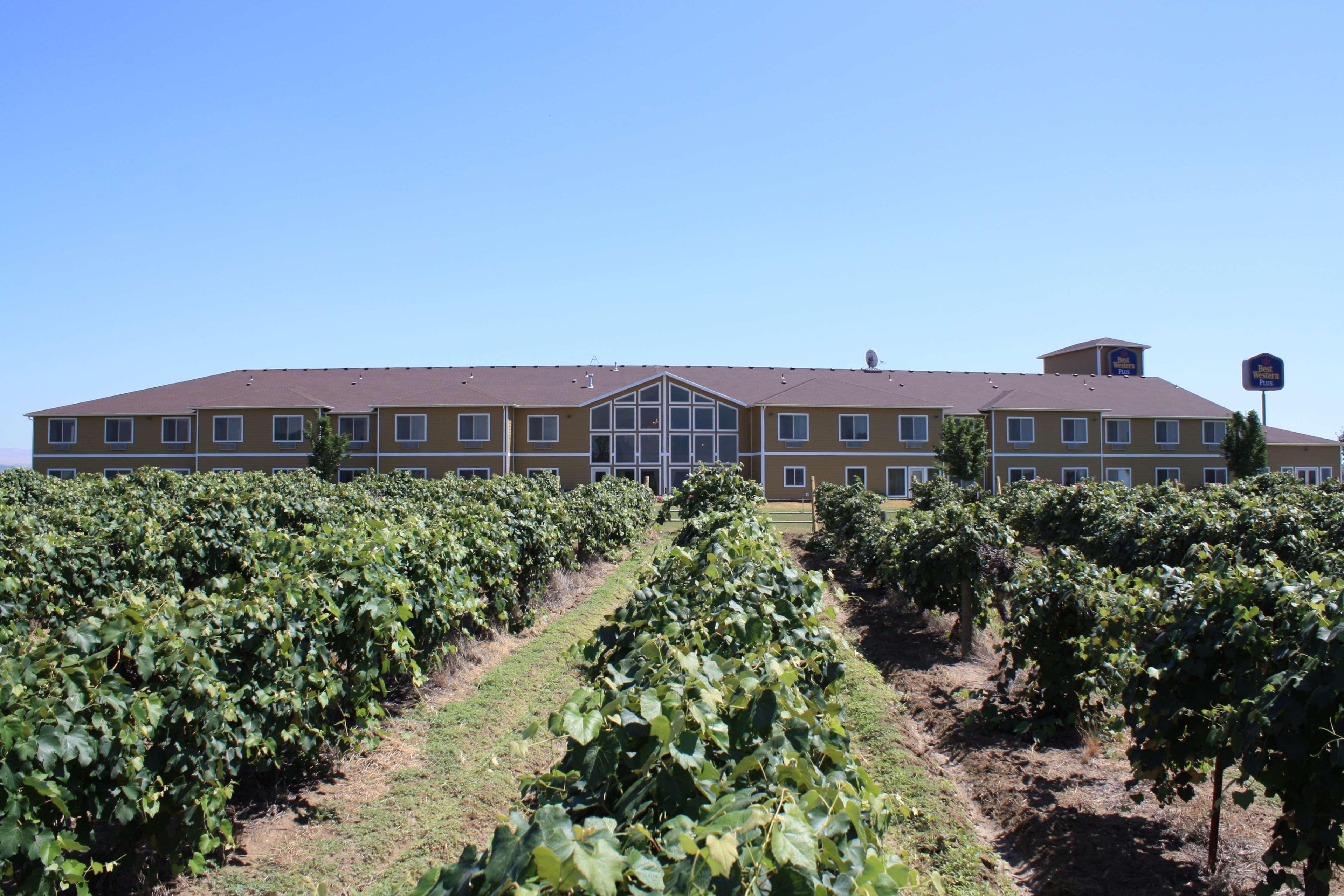 Best Western Plus Grapevine Inn Sunnyside Exterior photo